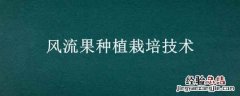 风流果适应哪些地区种植 风流果种植栽培技术
