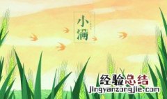 小满节气养生常识 小满节气养生注意事项