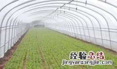 一层大棚膜能抗几度 双膜大棚可以抗多少度的低温