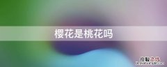 樱花是桃花吗 樱花与桃花的区别在哪