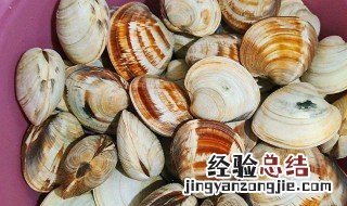 美贝怎么吐沙子 美贝怎么吐沙