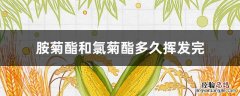 氯菊酯与胺菊酯 胺菊酯和氯菊酯多久挥发完