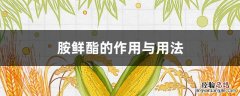 胺鲜酯的作用与用法 使用注意事项 胺鲜酯的作用与用法
