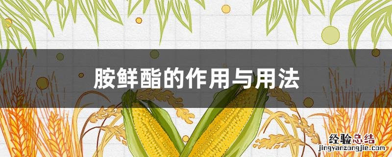 胺鲜酯的作用与用法 使用注意事项 胺鲜酯的作用与用法