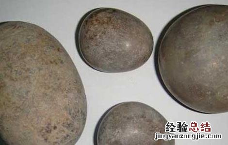 马宝的功效与作用 马宝的功效和作用