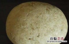 马宝的功效与作用 马宝的功效和作用