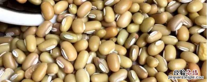 竹豆与绿豆的区别 竹豆是绿豆吗