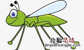蚂蚱的习性 关于蚂蚱的生活习性