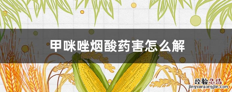 甲咪唑烟酸药害怎么解除 甲咪唑烟酸药害怎么解