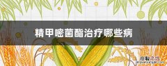 精甲霜灵嘧菌酯 治什么病害 精甲嘧菌酯治疗哪些病