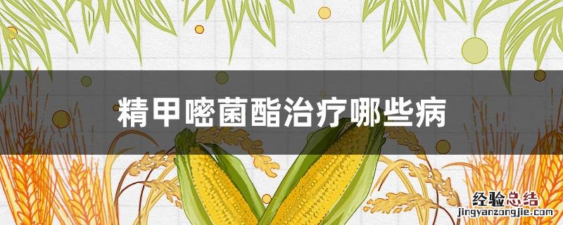 精甲霜灵嘧菌酯 治什么病害 精甲嘧菌酯治疗哪些病
