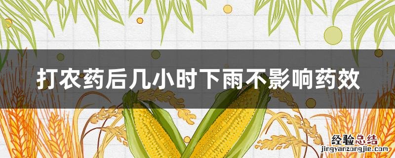 打农药后几小时下雨不影响药效 打农药后几小时下雨不影响药效打农药上午好还是下午好