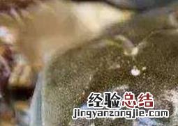 当天死掉的螃蟹能吃吗 当天死掉的螃蟹能吃不