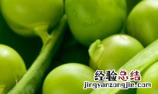 干炒豌豆的功效与作用 炒豌豆的功效与作用