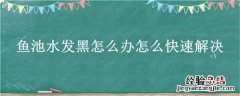 鱼池水发黑怎么办怎么快速解决 鱼池水发黑怎么办怎么快速解决视频