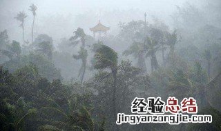 狂风暴雨是属于哪个季节的成语 狂风暴雨是属于哪个季节的成语典故