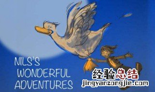 尼尔斯骑鹅历险记故事梗概 尼尔斯骑鹅历险记的故事情节
