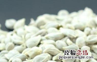 橘子的功效和作用 橘子籽的功效及副作用