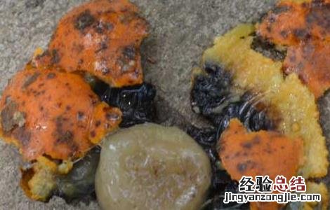 马钱子中毒的解救方法有题目 马钱子中毒的解救方法