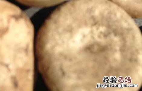 马钱子中毒的解救方法有题目 马钱子中毒的解救方法