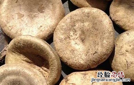 马钱子中毒的解救方法有题目 马钱子中毒的解救方法