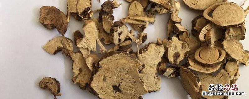 黄芪和苦参是不是一种植物? 苦参和黄芪的鉴别