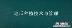 地瓜种植技术与管理 地瓜种植技术与管理图片