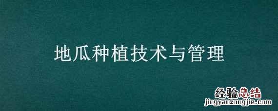 地瓜种植技术与管理 地瓜种植技术与管理图片