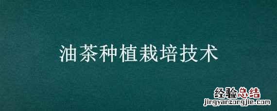 油茶种植栽培技术视频 油茶种植栽培技术