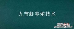 九节虾养殖技术是什么候 九节虾养殖技术