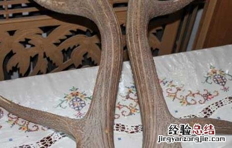 鹿角帽粉的作用与功效 鹿角的功效与作用
