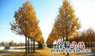 西方国家的季节划分 西方国家四季划分