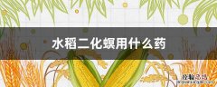 水稻二化螟用什么药防治最好 水稻二化螟用什么药
