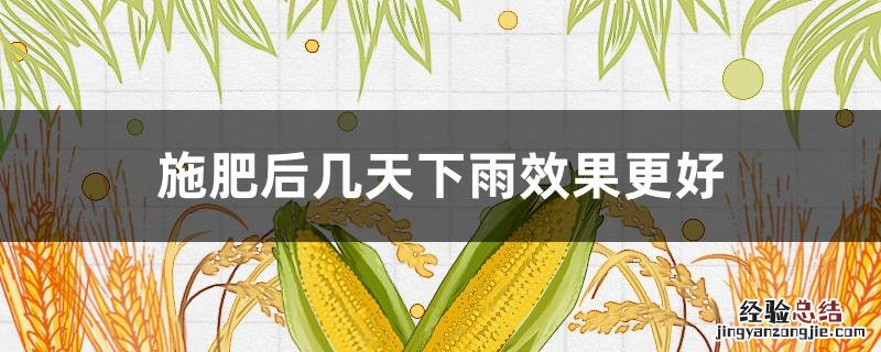 施肥后几天下雨效果更好吗 施肥后几天下雨效果更好