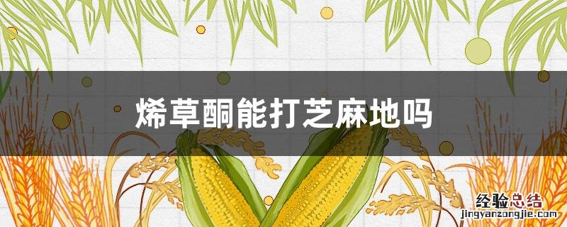 烯草酮能打芝麻地吗 烯草酮可以打牛筋草吗?