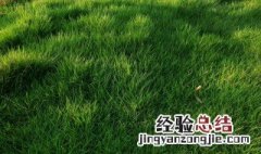 绿草如茵的意思怎么解释 绿草如茵的意思