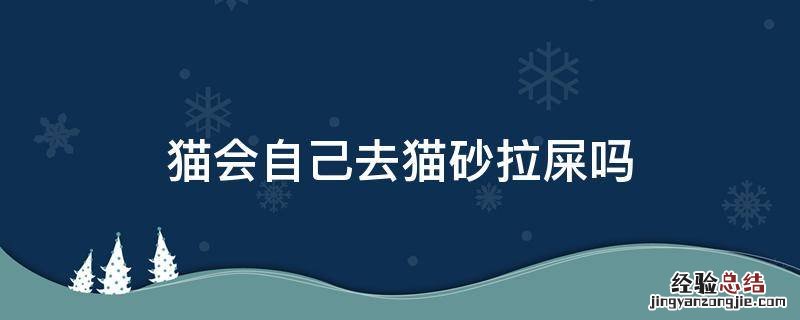 为什么猫知道去猫砂拉屎 猫会自己去猫砂拉屎吗