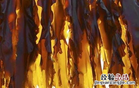 昆布的功效与作用 昆布的功效与作用的功能与主治与用量