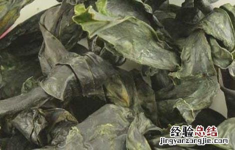 昆布的功效与作用 昆布的功效与作用的功能与主治与用量