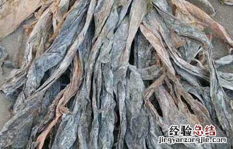 昆布的功效与作用 昆布的功效与作用的功能与主治与用量