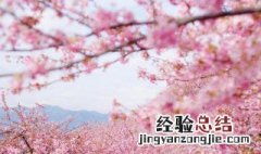 樱花校园2怎么下载 樱花校园2下载方法
