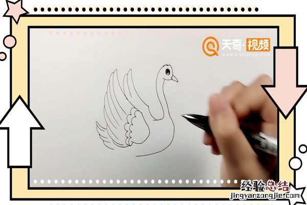 天鹅简笔画 涂色 粉天鹅简笔画