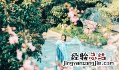 有诗意的网名四个字女生 有诗意的网名四个字