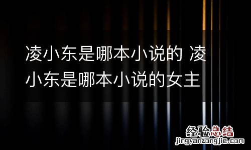 凌小东是哪本小说的 凌小东是哪本小说的女主