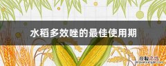 水稻多效唑的最佳使用期 多效唑对水稻幼苗的影响
