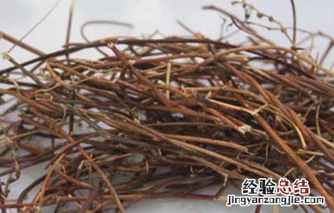 鸡骨草的功效与作用 鸡骨草的功效与作用图片