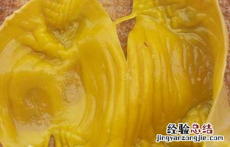鸡内金有什么副作用 鸡内金的作用和副作用