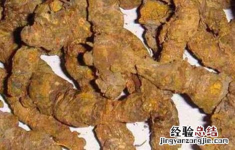 黄连素的功效与作用禁忌 黄连素的功效与作用