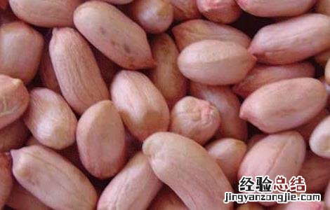 花生衣的功效与作用和禁忌 花生衣的功效与作用