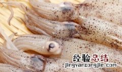 鱿鱼丝煮粥怎么做才好吃 鱿鱼丝可以煮粥吗